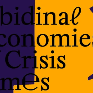 Libidinal Economies of Crisis Times