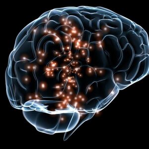 Review of Rose & Abi-Rached: Neuro