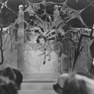 Synthetic Dreams: Gender, Modernity and Art Silk Stockings